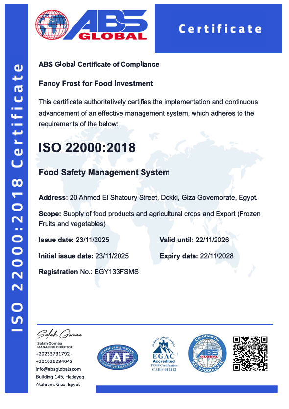 certificate 3